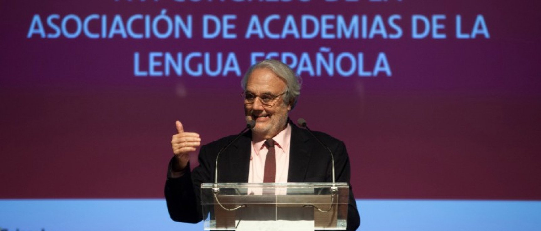 Manuel Gutiérrez Aragón (foto: RAE).